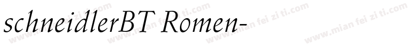 schneidlerBT Romen字体转换